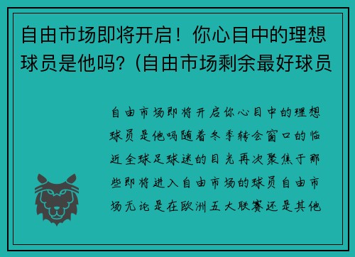 自由市场即将开启！你心目中的理想球员是他吗？(自由市场剩余最好球员)