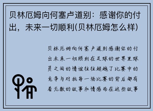 贝林厄姆向何塞卢道别：感谢你的付出，未来一切顺利(贝林厄姆怎么样)