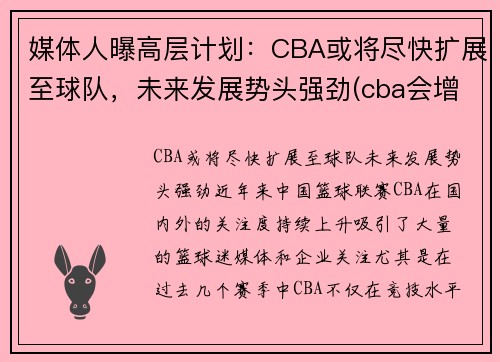 媒体人曝高层计划：CBA或将尽快扩展至球队，未来发展势头强劲(cba会增加一支新球队)